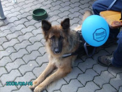 Maria-Geburts-Markt 2009