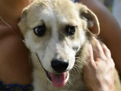 Kleine Jenny folgte ihrem Bruder Jimmy über den Regenbogen