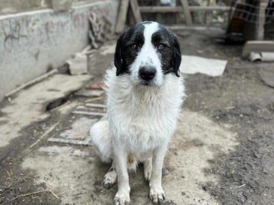 Waldo – ein ganzer Kerl sucht passende Menschen