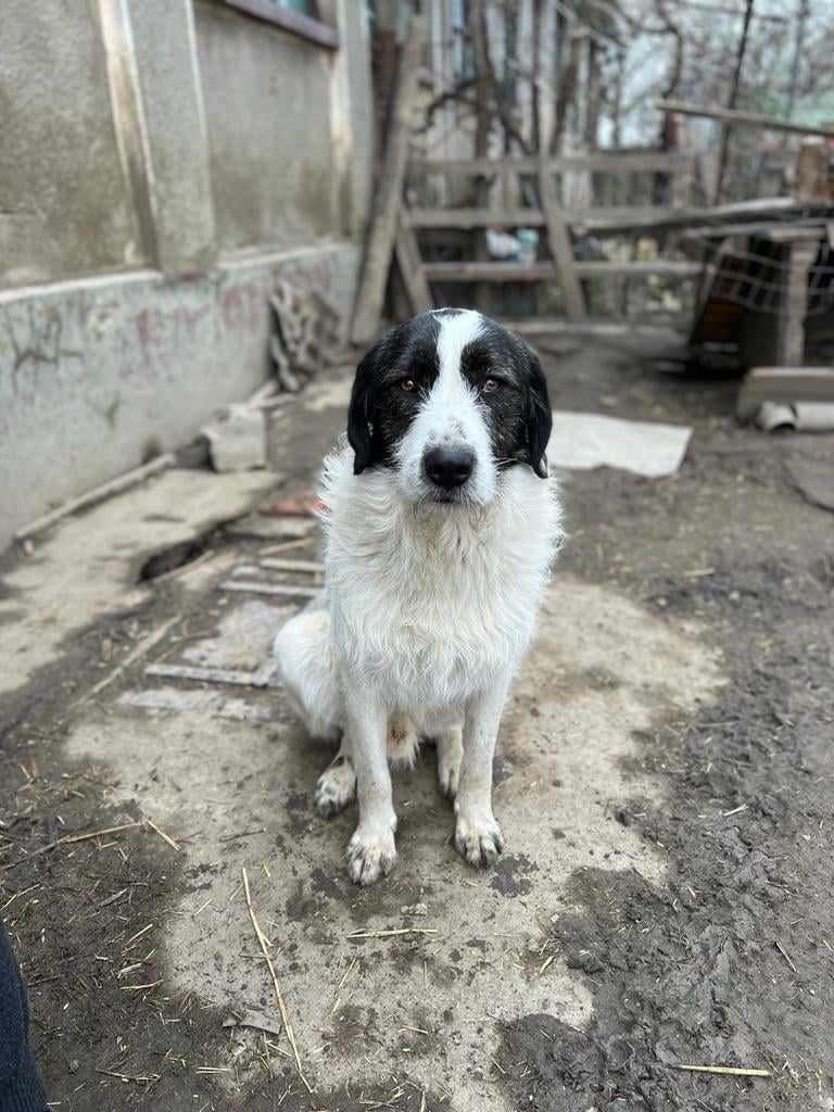 Waldo – ein ganzer Kerl sucht passende Menschen